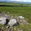 Digital photograph of panel to north, from Scotland's Rock Art Project, Turin Hill 8, Turin Hill, Angus