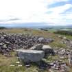 Digital photograph of rock art panel context, Scotland's Rock Art Project, Turin Hill 8, Turin Hill, Angus