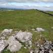 Digital photograph of panel to north-east, from Scotland's Rock Art Project, Turin Hill 8, Turin Hill, Angus