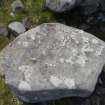 Digital photograph of panel, from Scotland's Rock Art Project, Turin Hill 8, Turin Hill, Angus