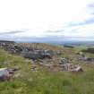 Digital photograph of panel in context with scale, from Scotland's Rock Art Project, Turin Hill 8, Turin Hill, Angus