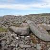 Digital photograph of panel to west, from Scotland's Rock Art Project, Turin Hill 9, Turin Hill, Angus