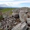 Digital photograph of panel to south-west, from Scotland's Rock Art Project, Turin Hill 9, Turin Hill, Angus