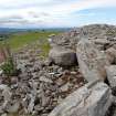 Digital photograph of rock art panel context, Scotland's Rock Art Project, Turin Hill 9, Turin Hill, Angus