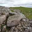 Digital photograph of panel in context without scale, from Scotland's Rock Art Project, Turin Hill 9, Turin Hill, Angus