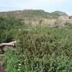 Archaeological survey phase 1, General view, Inchkeith Island, Firth of Forth