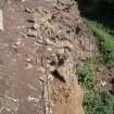 Archaeological survey phase 1, General view, Inchkeith Island, Firth of Forth