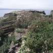 Archaeological survey phase 1, General view, Inchkeith Island, Firth of Forth