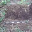 Archaeological excavation phase 2, Anchor point 1, General shot, Inchkeith Island, Firth of Forth