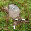 Digital photograph of rock art panel context, Scotland's Rock Art Project, Clachan Ard, Bute, Argyll and Bute
