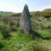 Digital photograph of rock art panel context, Scotland's Rock Art Project, Craigberoch, Bute, Argyll and Bute