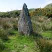 Digital photograph of rock art panel context, Scotland's Rock Art Project, Craigberoch, Bute, Argyll and Bute