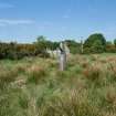 Digital photograph of rock art panel context, Scotland's Rock Art Project, Craigberoch, Bute, Argyll and Bute