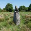 Digital photograph of panel to north, from Scotland's Rock Art Project, Craigberoch, Bute, Argyll and Bute