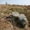 Digital photograph of panel to east, from Scotland's Rock Art Project, Lenihuiline 3, Bute, Argyll and Bute