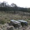 Digital photograph of panel to south, from Scotland's Rock Art Project, Lenihuiline 3, Bute, Argyll and Bute