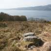 Digital photograph of panel to west, from Scotland's Rock Art Project, Lenihuiline 3, Bute, Argyll and Bute