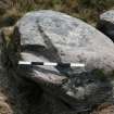 Digital photograph of panel, from Scotland's Rock Art Project, Lenihuiline 3, Bute, Argyll and Bute