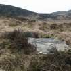 Digital photograph of panel to south-east, from Scotland's Rock Art Project, Muclich Hill 1, Bute, Argyll and Bute