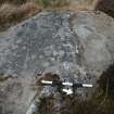 Digital photograph of perpendicular to carved surface(s), from Scotland's Rock Art Project, Muclich Hill 1, Bute, Argyll and Bute