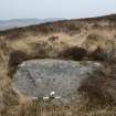 Digital photograph of panel to north-west, from Scotland's Rock Art Project, Muclich Hill 1, Bute, Argyll and Bute