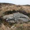 Digital photograph of panel to north-east, from Scotland's Rock Art Project, Muclich Hill 1, Bute, Argyll and Bute