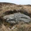 Digital photograph of rock art panel context, Scotland's Rock Art Project, Muclich Hill 1, Bute, Argyll and Bute