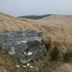 Digital photograph of panel to north, from Scotland's Rock Art Project, Torran Turach 3, Bute, Argyll and Bute