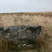 Digital photograph of panel to west, from Scotland's Rock Art Project, Torran Turach 3, Bute, Argyll and Bute