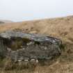 Digital photograph of panel to south, from Scotland's Rock Art Project, Torran Turach 3, Bute, Argyll and Bute