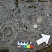 Digital photograph of panel in context with scale, from Scotland's Rock Art Project, Achanarnich 1, Kilmartin, Argyll and Bute