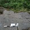 Digital photograph of panel in context with scale, from Scotland's Rock Art Project, Achanarnich 1, Kilmartin, Argyll and Bute