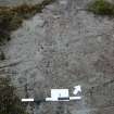 Digital photograph of panel in context with scale, from Scotland's Rock Art Project, Achanarnich 1, Kilmartin, Argyll and Bute