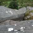 Digital photograph of panel in context with scale, from Scotland's Rock Art Project, Achanarnich 1, Kilmartin, Argyll and Bute