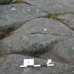 Digital photograph of panel in context with scale, from Scotland's Rock Art Project, Achanarnich 1, Kilmartin, Argyll and Bute