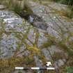 Digital photograph of panel in context with scale, from Scotland's Rock Art Project, Achanarnich 1, Kilmartin, Argyll and Bute