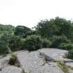 Digital photograph of panel to south, from Scotland's Rock Art Project, Achanarnich 1, Kilmartin, Argyll and Bute