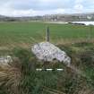 Digital photograph of panel to west, from Scotland's Rock Art Project, Rosehall, Aberdeenshire