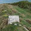 Digital photograph of panel to north, from Scotland's Rock Art Project, Rosehall, Aberdeenshire