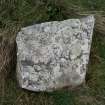 Digital photograph of perpendicular to carved surface(s), from Scotland's Rock Art Project, Rosehall, Aberdeenshire