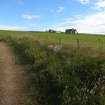 Digital photograph of rock art panel context, Scotland's Rock Art Project, Rosehall, Aberdeenshire