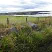 Digital photograph of rock art panel context, Scotland's Rock Art Project, Rosehall, Aberdeenshire