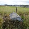 Digital photograph of rock art panel context, Scotland's Rock Art Project, Rosehall, Aberdeenshire