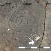 Digital photograph of close ups of motifs, from Scotland's Rock Art Project, Achnabreck 3, Kilmartin, Argyll and Bute