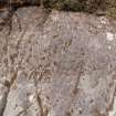 Digital photograph of rock art panel context, Scotland's Rock Art Project, Achnabreck 10, Kilmartin, Argyll and Bute