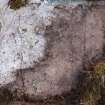 Digital photograph of rock art panel context, Scotland's Rock Art Project, Achnabreck 11, Kilmartin, Argyll and Bute