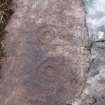 Digital photograph of close ups of motifs, from Scotland's Rock Art Project, Achnabreck 11, Kilmartin, Argyll and Bute