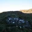 Digital photograph of panel to north, from Scotland's Rock Art Project, Ardifuir 11, Kilmartin, Argyll and Bute