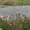 Digital photograph of panel before cleaning, from Scotland's Rock Art Project, Achnabreck 5, Kilmartin, Argyll and Bute