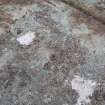Digital photograph of rock art panel context, Scotland's Rock Art Project, Achnabreck 5, Kilmartin, Argyll and Bute